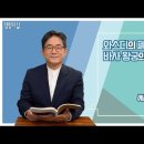 와스디