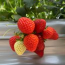 수경농장 이미지