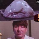 다움에스테틱 - 안산시 단원구 | 다움에스테틱