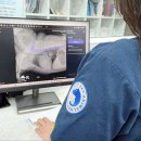 인천 24시 스카이동물메디컬센터 이미지