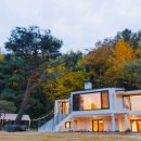 뽈레미농 이미지