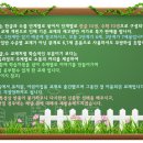 한솔유치원 이미지