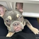 차차네일샵 이미지