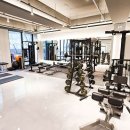 분당-199 이미지