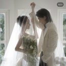 강남대로8길 40-67 | [W-7] 스튜디오_자연스럽고 클래식한 느좋 스튜디오 모음집(클로드/콜레트/피아/랑게/세미앙)