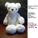베어 이미지