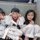 제일경희태권도 이미지