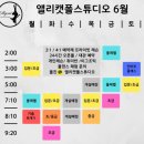 앨리캣폴스튜디오 이미지