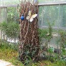 신구대학교 식물원을 찾아서 이미지