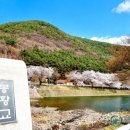 봉황대운동장 이미지