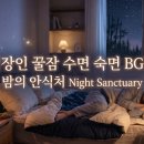 직장인 꿀잠 수면 숙면 BGM - 밤의 안식처 Night Sanctuary 이미지