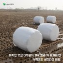 한국특산물