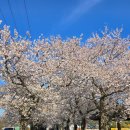 구림보건지소 이미지