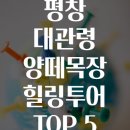 투어포인트 이미지