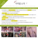 남성생활교육 | 두피밥 수원점: 수원 유기농 두피케어 후기, 남성 전문 탈모 관리 전후 차이, 두피건강 생활습관 음식 꿀팁