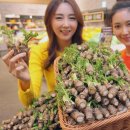 신세계농장(1) 이미지