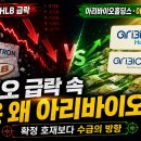 아리바이오홀딩스, 랩 급등 이유 (새로운 수급의 유입)