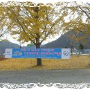 의령여자중학교 이미지