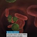 [명의] 치매와 파킨슨병 (EBS) 이미지