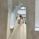 머니플래너 | 결혼 준비 시작 비동행 플래너 업체 웨딩프렌즈 스드메 패키지 계약 견적 가격 후기