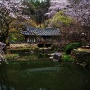 남간정사 이미지