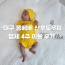 대구 산후도우미 후기 | 대구 몽베베 산후도우미 후기 이모님 추천