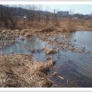 신장소류지 이미지