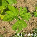 영부농장 이미지