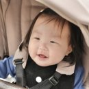 아기 유모차 출산선물로 잉글레시나 앱티카 디럭스 추천 이유