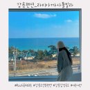 강릉펜션 :: 오션뷰&amp;스파 10만원대 감성펜션 내돈내산 후기 [라미아까사풀빌라_플러스동 403호]