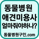 애견미용사월급,애견미용사구인,애견미용사들의모임,동물병원취업,애견미용사날다,애견미용사연봉,서울,부산,대구,인천,광주,대전,울산,경기,강원,충북,충남 이미지