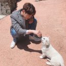 오케이인피니트 이미지