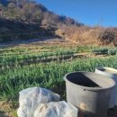 야로면사무소 이미지