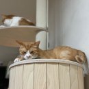 성북동-893 | 소규모 공방인테리어 전문 성북구 도자기공방 유럽미장 드파랑