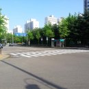 하나아파트 앞 횡단보도 이미지