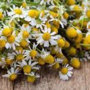 에이치피알 이미지