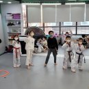 용인대 세심 태권도장 이미지