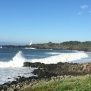 서호동-11 이미지