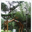 태학산자연휴양림 잔디광장 이미지