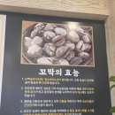 박은자맛사랑 장안점 이미지