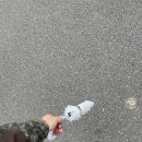 서연세탁소 이미지