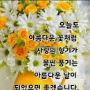 박쌤 이미지