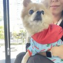 아띠숑 | [결혼식D-DAY] 드디어 결혼식이다!(스튜디오/메이크업/드레스/스냅촬영/웨딩홀 후기