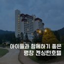 호텔아담한 충북대점 | 강원도 호캉스 켄싱턴호텔 평창 패밀리 라이트 패키지 후기 (맘맘)