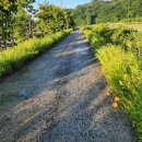 금국농장 이미지