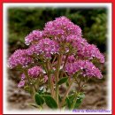 치악산둘레길 3코스 수레너미길 | 치악산 둘레길 3코스인 수레너미길 일부구간 고요한 숲길을 걷다.