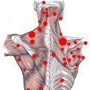 웅촌제일의원 이미지