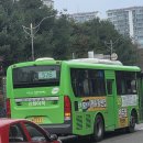 신화여객운수 네이버블로그