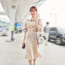 CC콜렉트 이미지