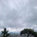 강변셀프주유소 이미지